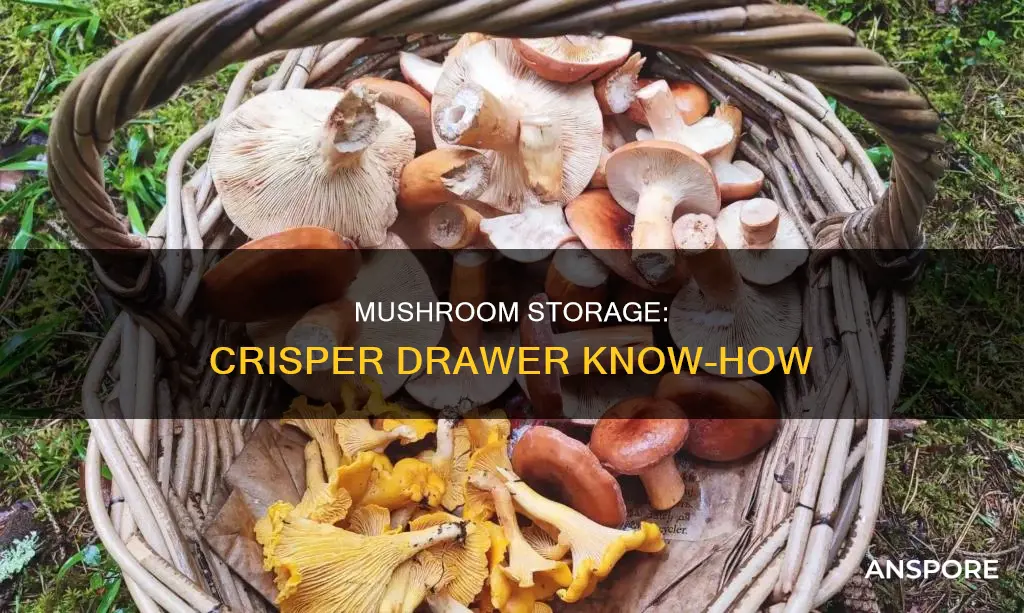 which crisper drawer for mushrooms