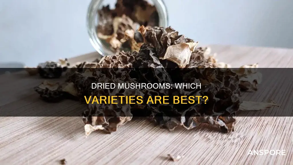 which dried mushrooms are best