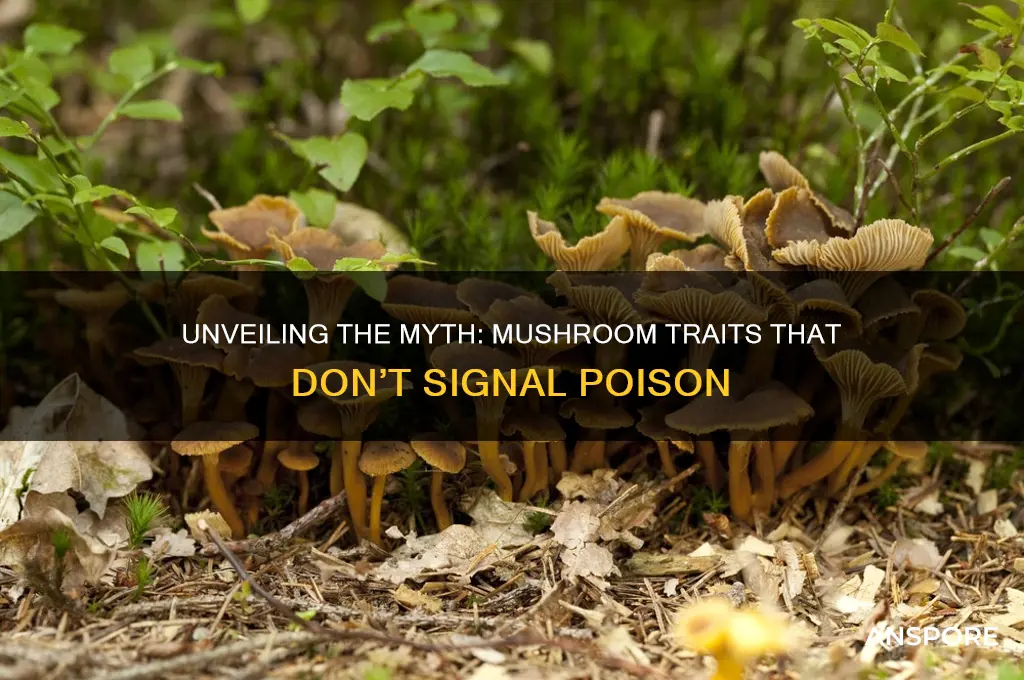 which feature is not a clue to a poisonous mushroom
