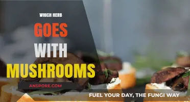 Herbs and Mushrooms: Perfect Pairing Guide