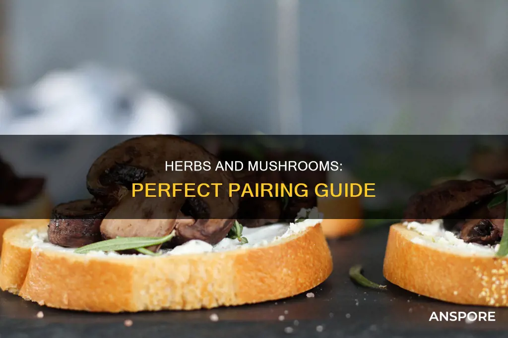 which herb goes with mushrooms