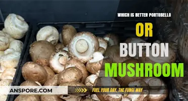 Portobello vs. Button Mushrooms: Which Fungus Reigns Supreme?