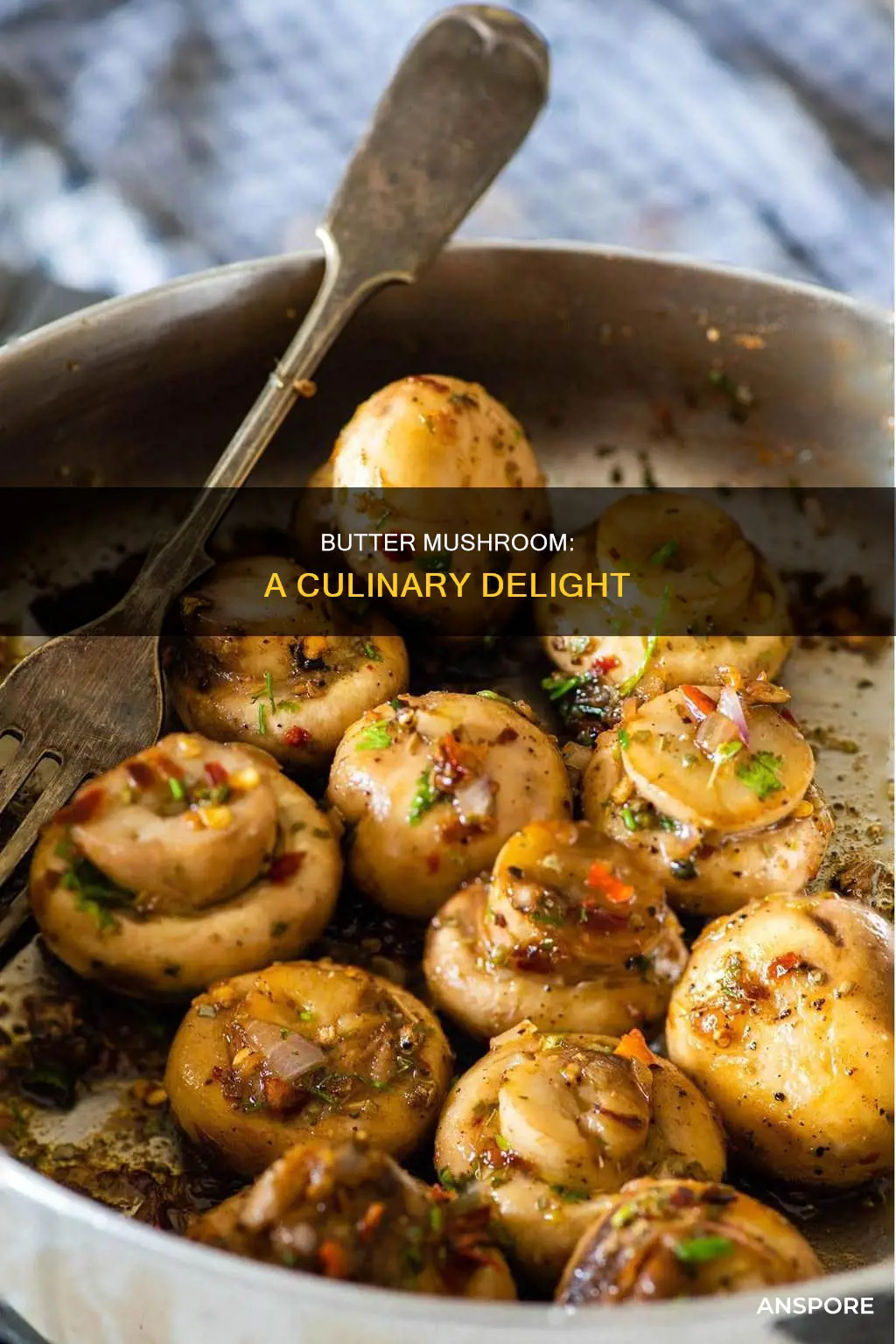 which is butter mushroom