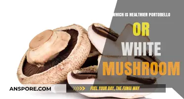 Portobello vs. White Mushrooms: Which Fungus is Healthier for You?
