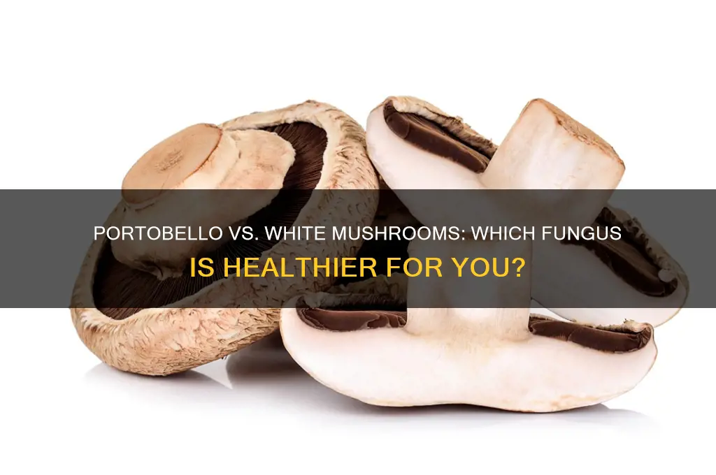which is healthier portobello or white mushrooms