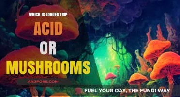 Trip Duration Comparison: Acid vs. Mushrooms - Which Lasts Longer?