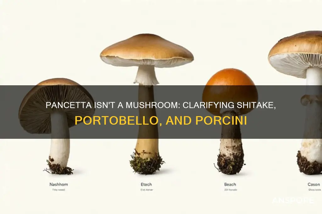 which is not a mushroom shitake portobello porchini or pancetta