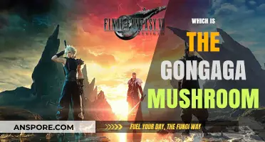 Gongaga Mushrooms: A Comprehensive Guide