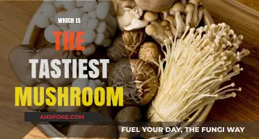 Mushroom Delicacy: Which Variety Reigns Supreme?