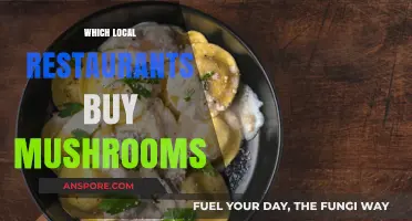 Discover Local Restaurants Sourcing Fresh Mushrooms in Your Area