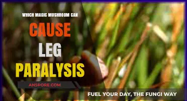 Magic Mushrooms and Leg Paralysis: Identifying the Risky Species