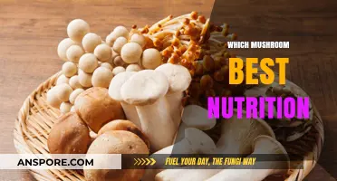 Mushroom Nutrition: Best Types and Benefits