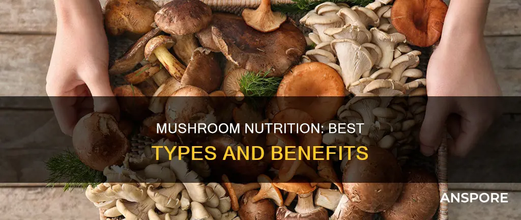 which mushroom best nutrition