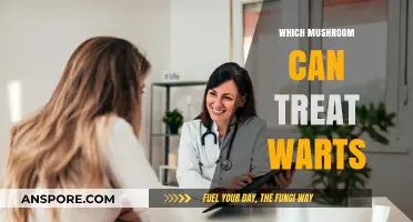 Natural Wart Remedies: Mushrooms That Effectively Treat Skin Warts
