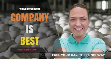 Mushroom Companies: Who's the Best?
