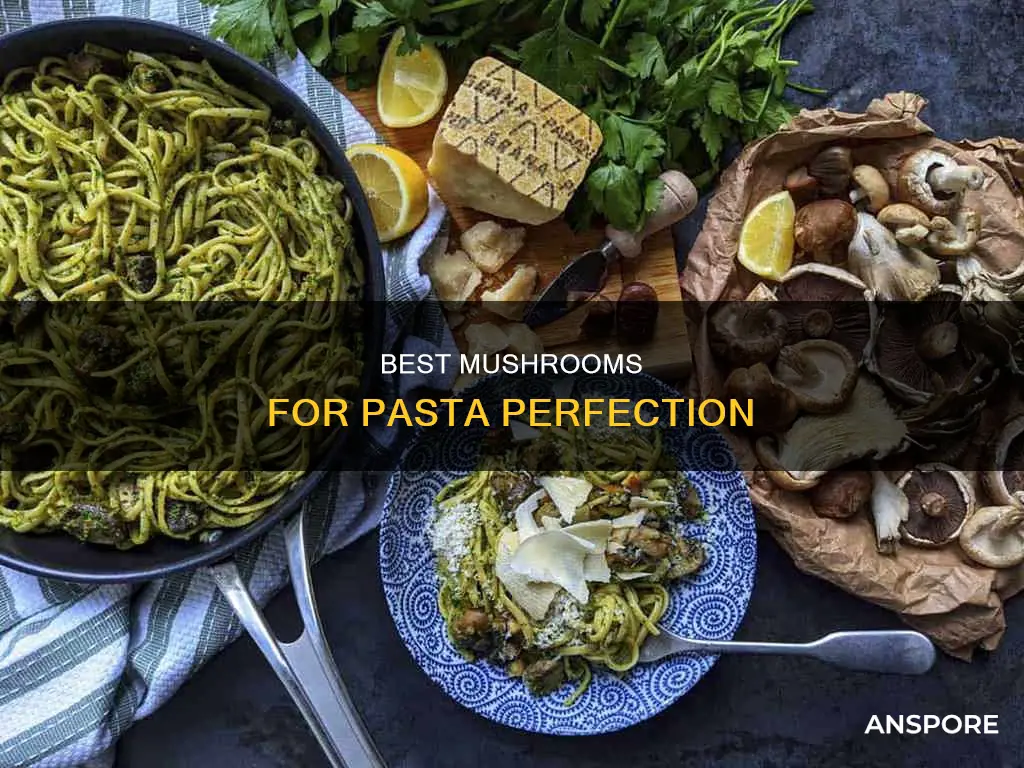 which mushroom for pasta