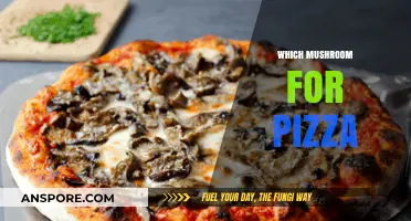 Mushroom Varieties for the Perfect Pizza
