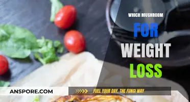 Mushroom Varieties for Weight Loss Explored