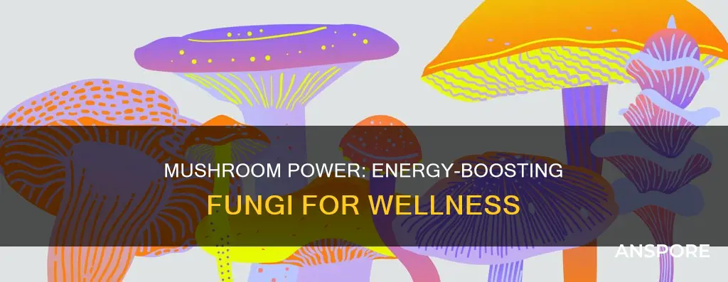 which mushroom gives you energy