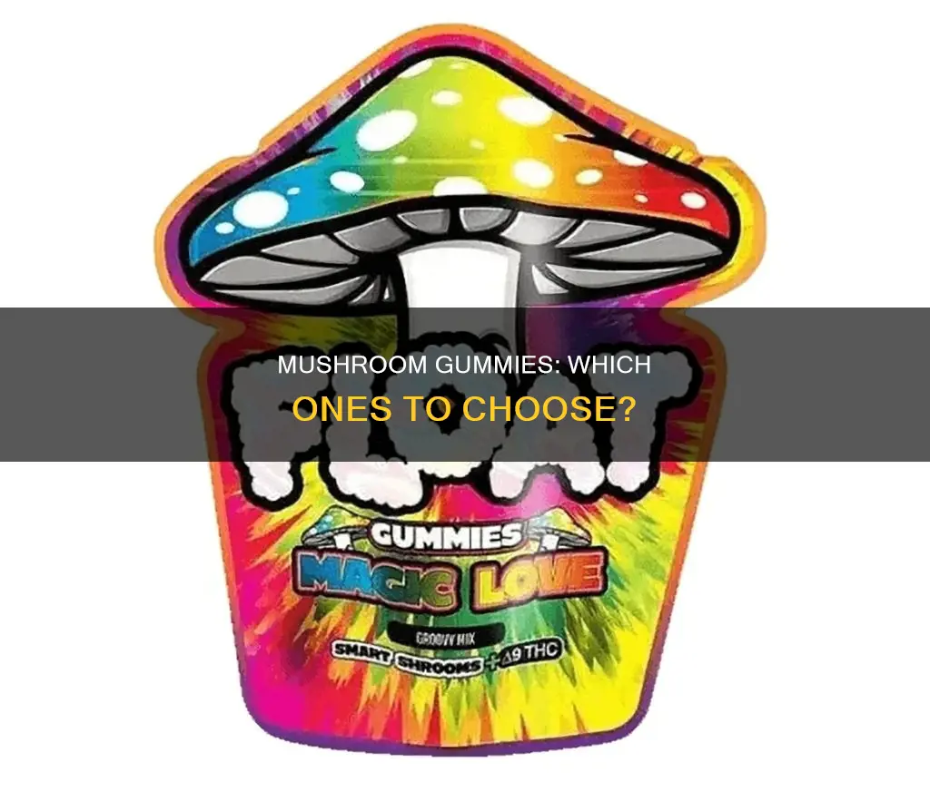 which mushroom gummies are best