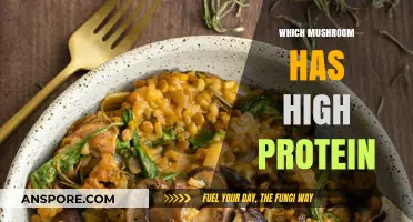 Mushroom Power: High-Protein Fungi for Your Diet