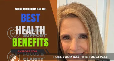 Discover the Top Mushroom for Optimal Health and Wellness