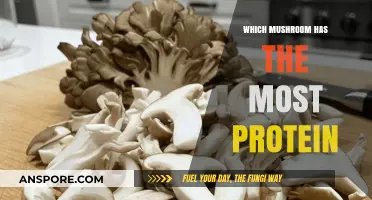 Discover the Mushroom with the Highest Protein Content for Your Diet