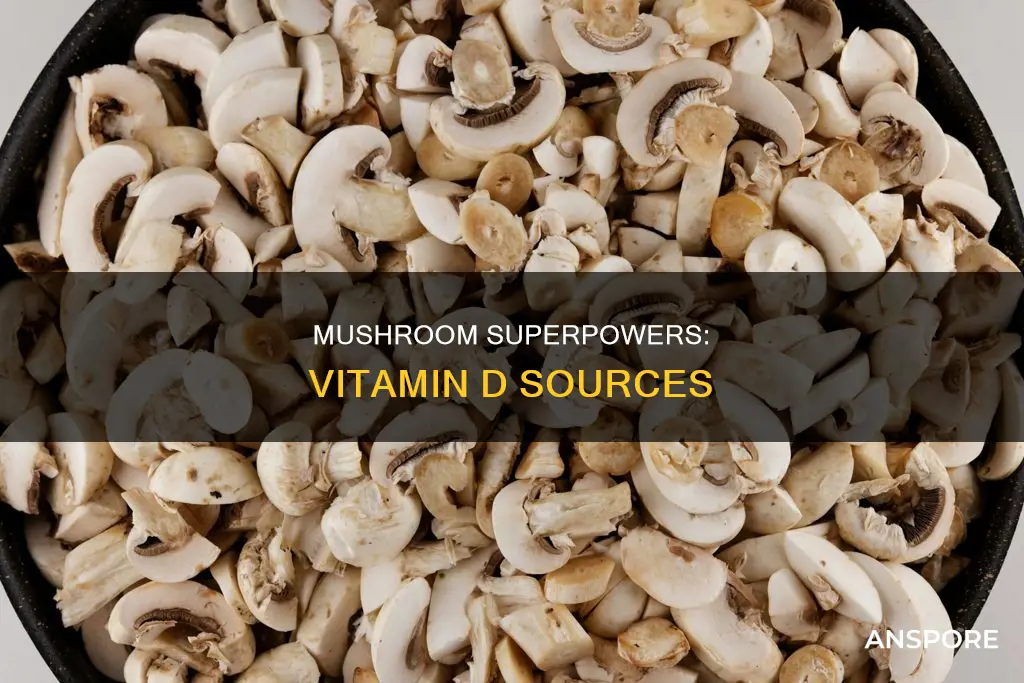 which mushroom has vitamin d
