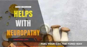 Mushroom Therapy: Neuropathy Treatment with Reishi