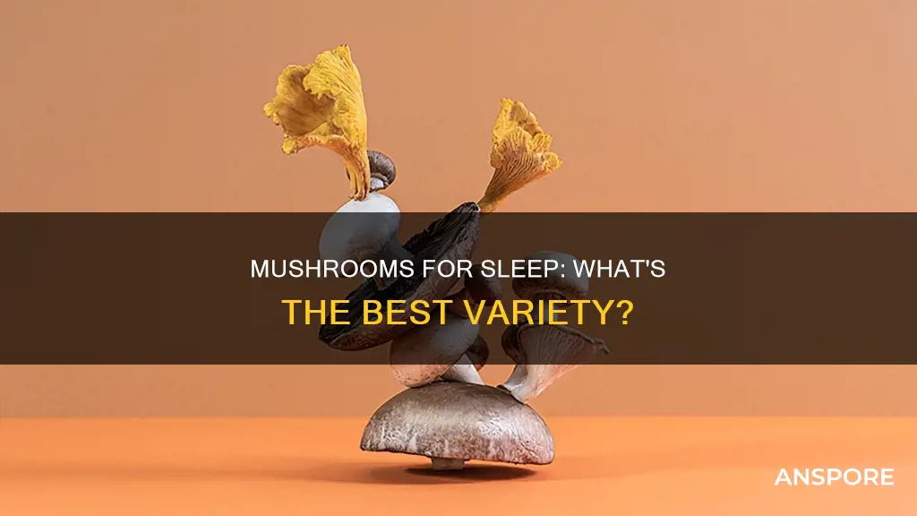 which mushroom helps with sleep