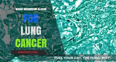 Mushrooms for Lung Cancer: Natural Remedies and Their Benefits