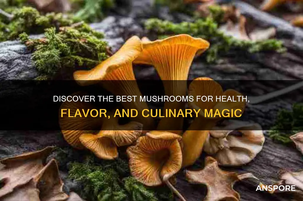 which mushroom is good