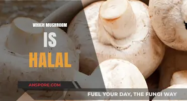 Mushroom Mystery: Halal or Not?