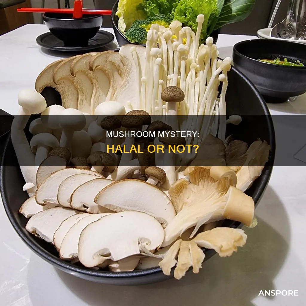 which mushroom is halal