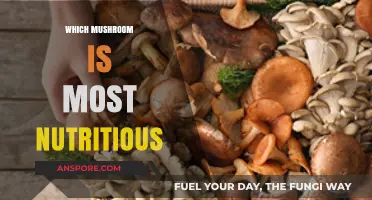 Mushrooms: Nutrition Powerhouses and Their Benefits