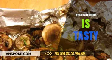 Mushroom Delicacy: Which Variety Tastes the Best?