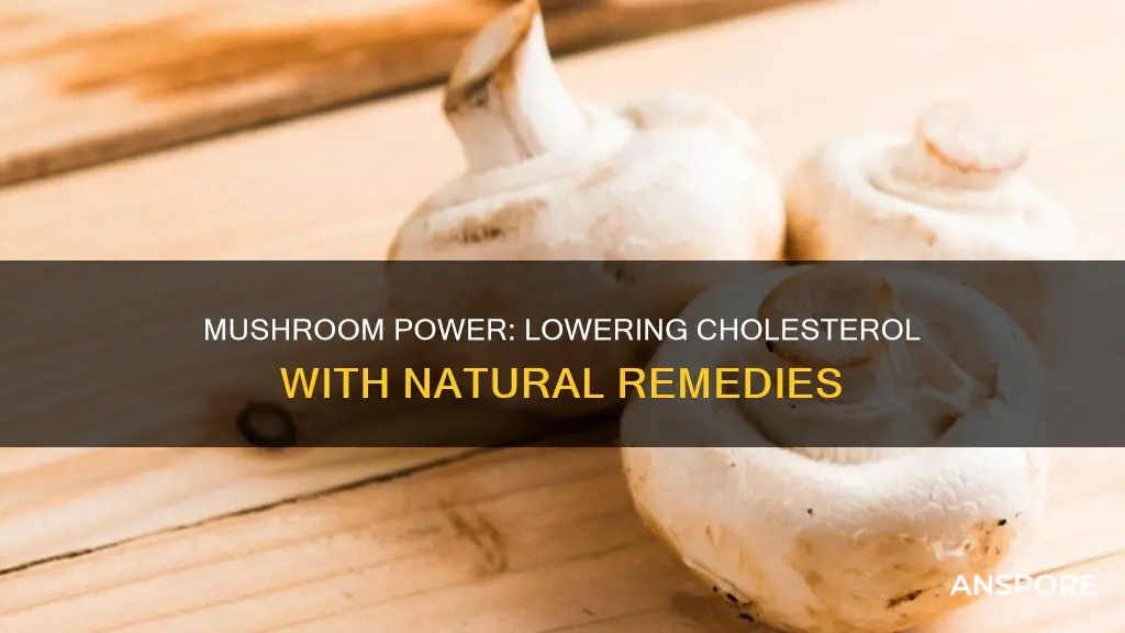 which mushroom lowers cholesterol