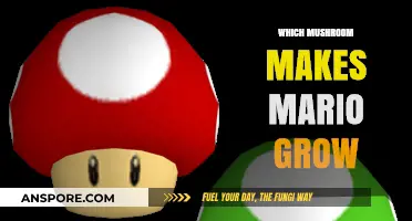 Super Mushroom: The Secret Behind Mario's Growth Spurt