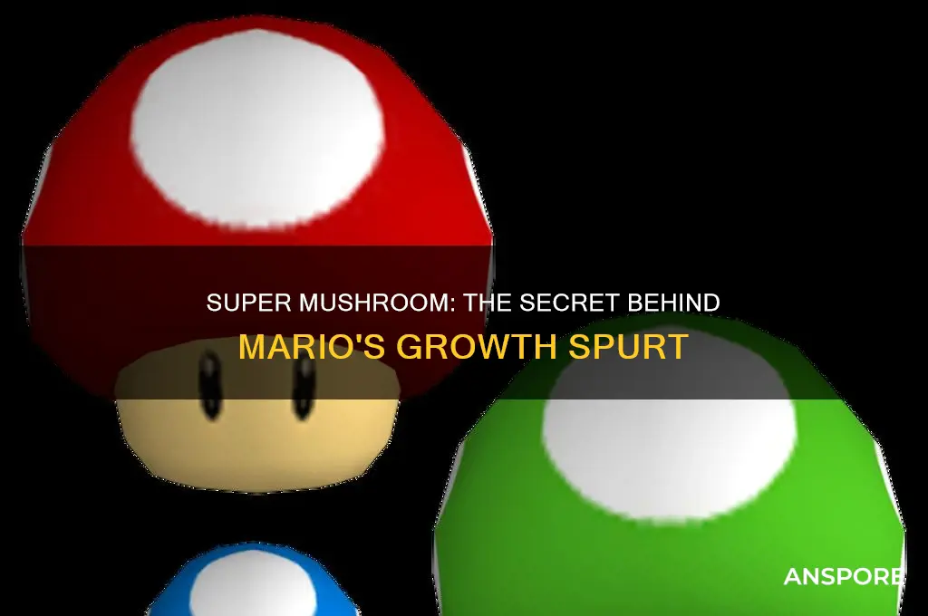 which mushroom makes mario grow