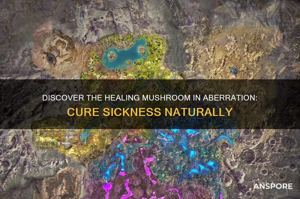 which mushroom makes sickness go away in abberation