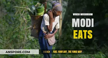 Modi's Mushroom Diet: Unveiling the Prime Minister's Fungal Favorites