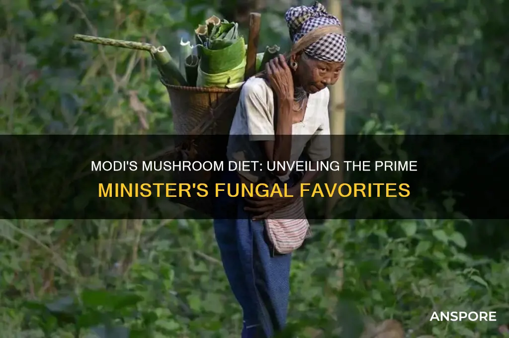 which mushroom modi eats