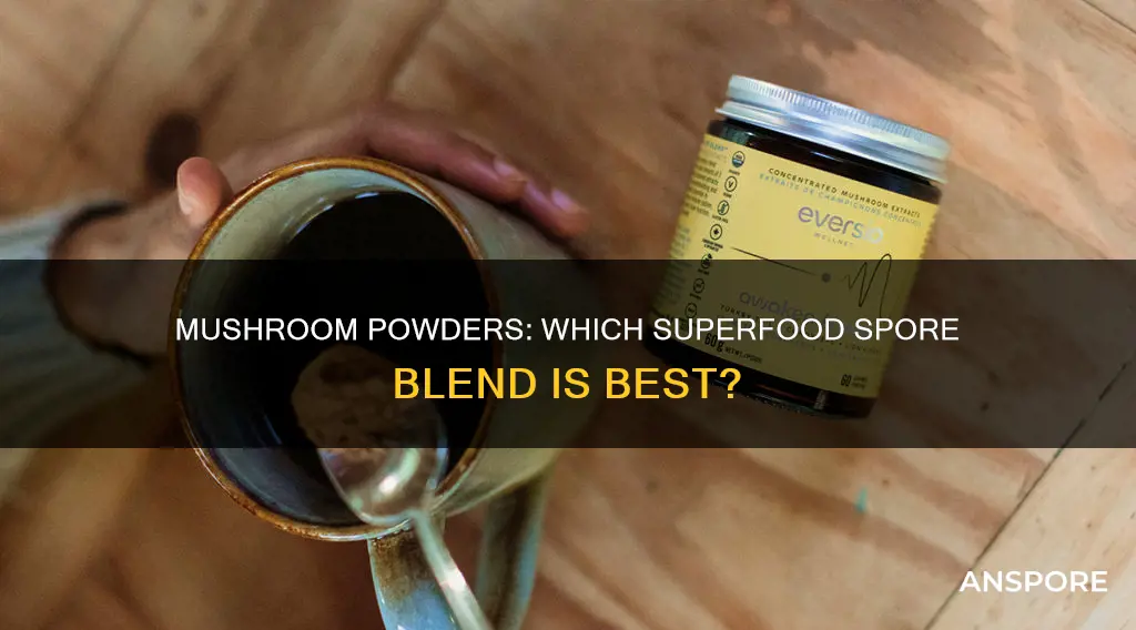 which mushroom powder is best