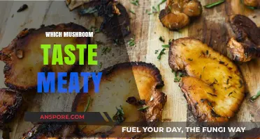 Meaty Mushrooms: For the Love of Umami