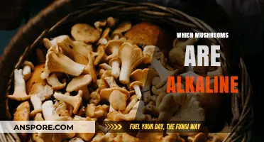 Mushroom Mystery: Alkaline-Forming Fungi for Health