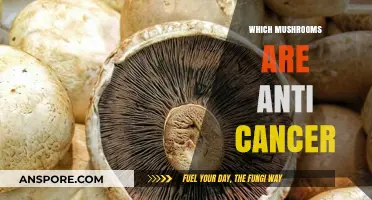 Mushroom Power: Anticancer Varieties and Their Benefits
