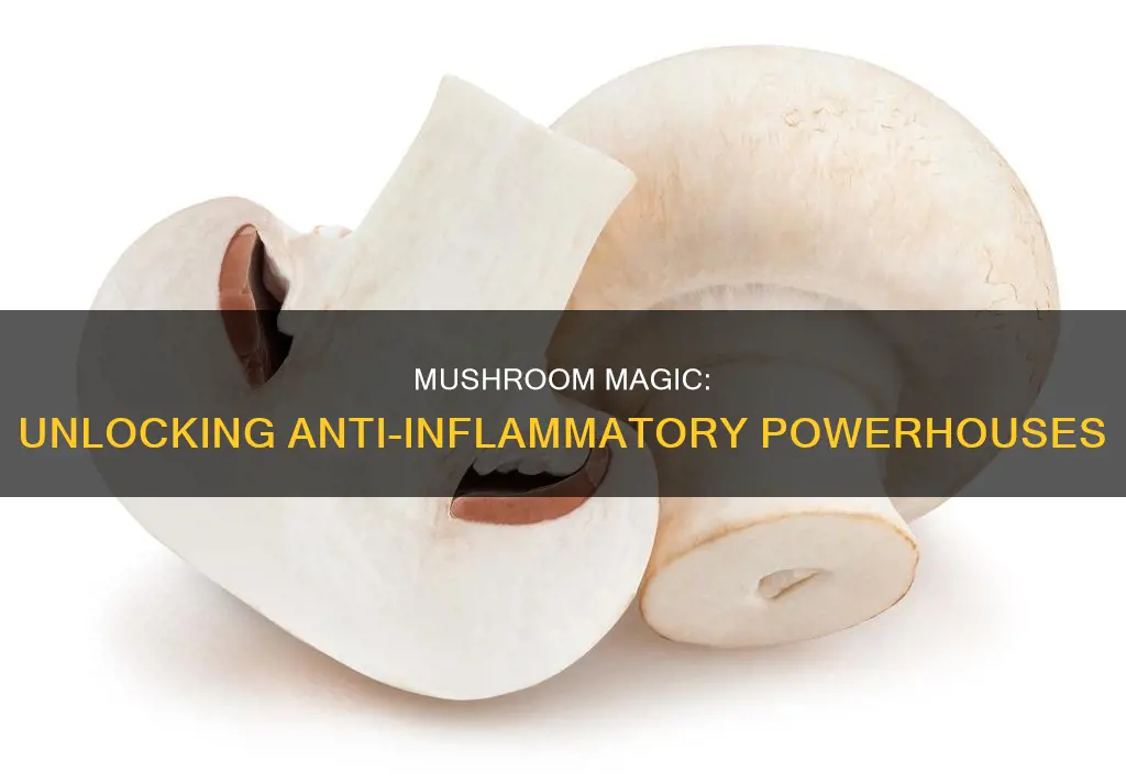 which mushrooms are anti inflammatory