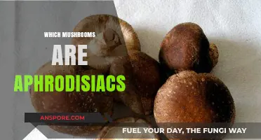 Mushroom Magic: Aphrodisiacs and Their Benefits