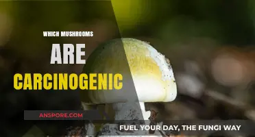 Mushroom Mystery: Identifying Carcinogenic Varieties