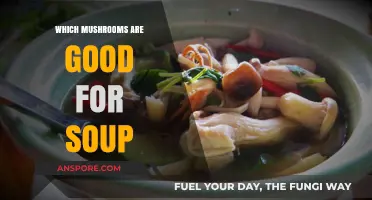 Best Mushrooms for Soup: Flavorful Varieties to Elevate Your Broth